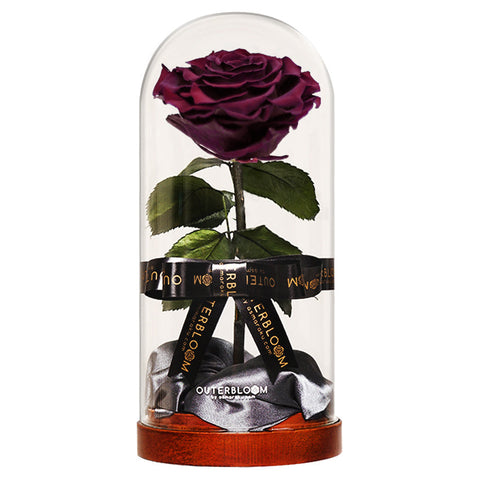 Enchanted Dome - Wine Red