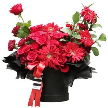 A dramatic and passionate bloom box arrangement overflowing with an assortment of red flowers. It features classic red roses, vibrant red gerberas, and smaller red carnations. The flowers are artfully arranged in a round, matte black box. The arrangement is accented with green leaves and wrapped at the top with ruffled black tissue paper. A striking red satin ribbon and a black-and-white striped ribbon are tied around the box. This bold and romantic gift is perfect for anniversaries and declarations of love
