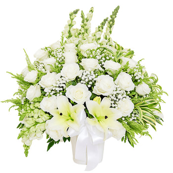 Milky White in Vase