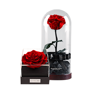Forever Flowers
