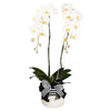 Twin Majesty White Orchid in Vase