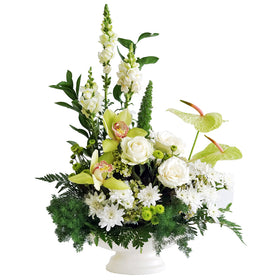 Minty Fresh in Vase