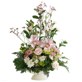 Sugar Sweet in Vase