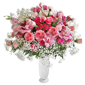 Pink Penelope in Vase