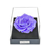 Astoria - Posh Purple