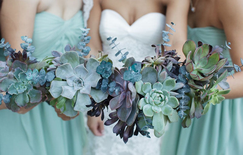 10 Cara Manfaatkan Tanaman Succulent untuk Bunga Pernikahan