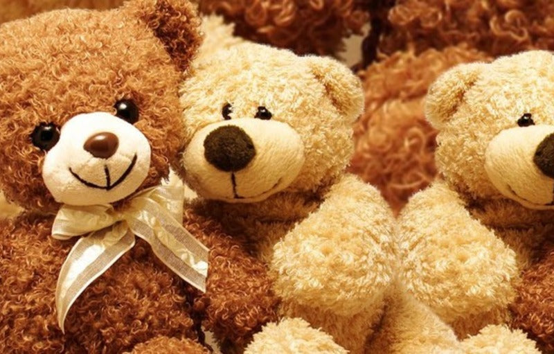 Mengapa Teddy Bear Begitu Disukai?