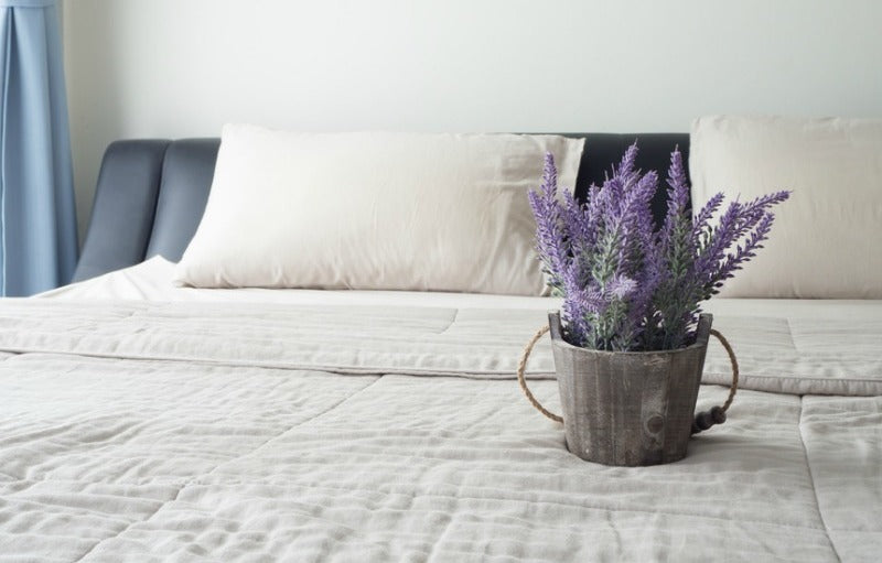 Sulit Tidur? Letakkan 5 jenis Tanaman Ini di Kamar Anda