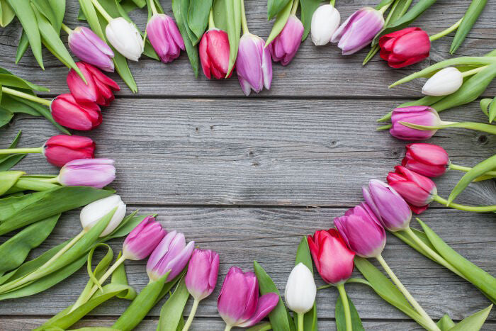 7 Cara Menyatakan Cinta dengan Bunga Tulip