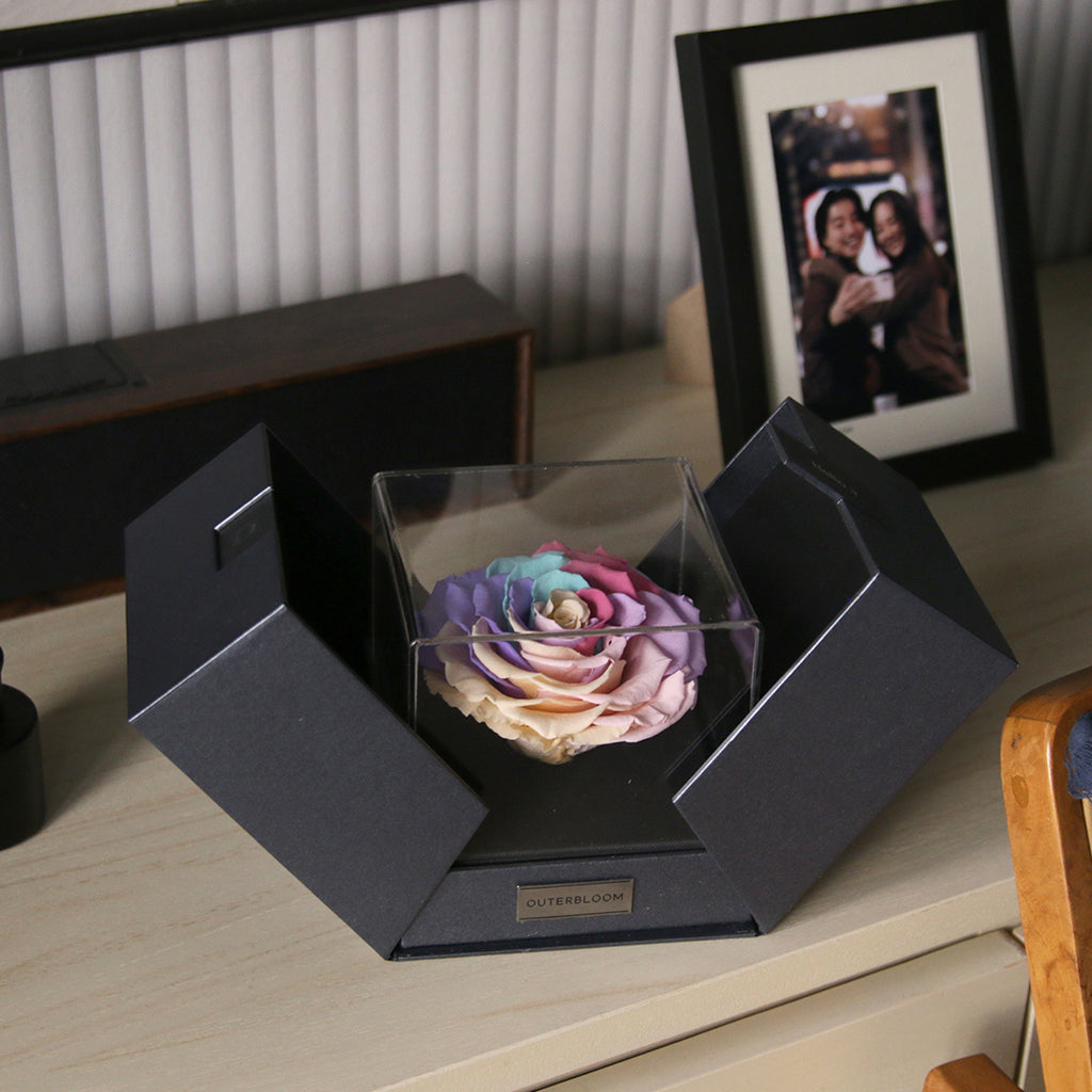 The Novo Astoria - Pastel Rainbow