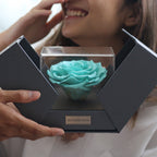 The Novo Astoria - Tiffany Blue