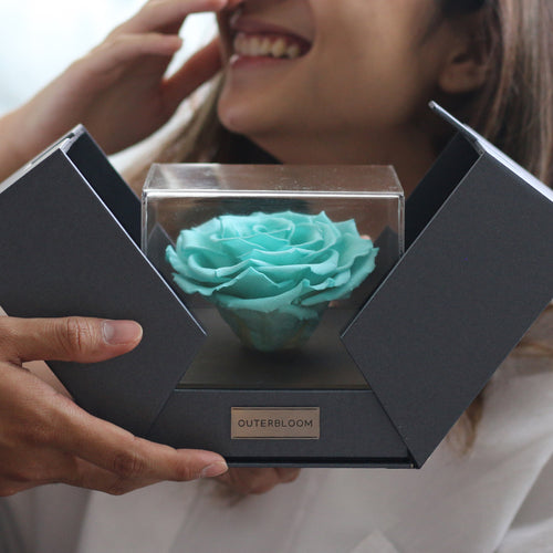 The Novo Astoria - Tiffany Blue