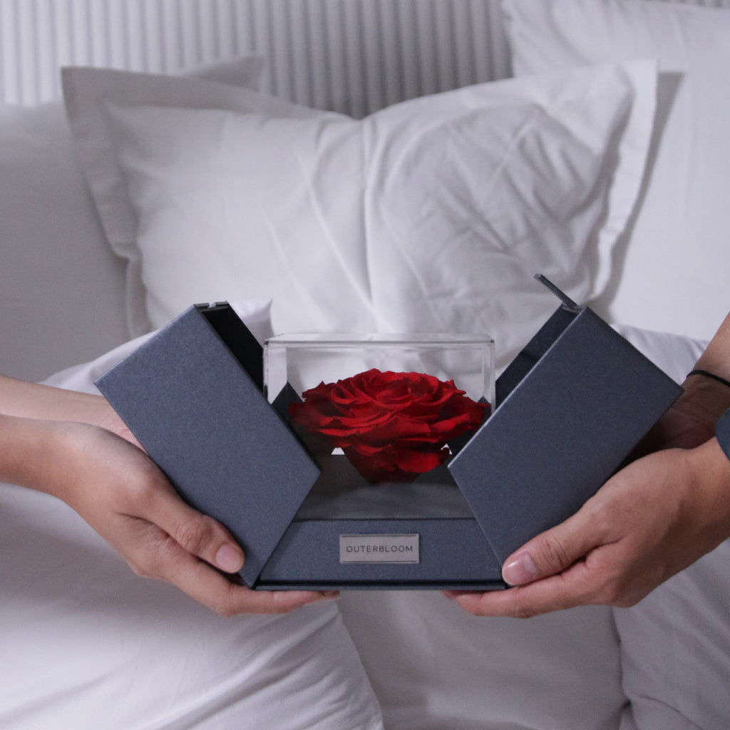 The Novo Astoria - Passionate Red