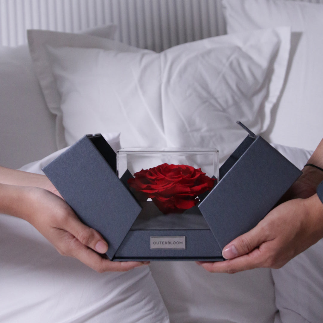 The Novo Astoria - Passionate Red