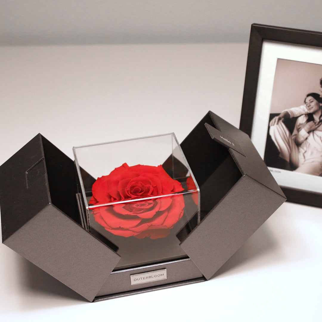 The Novo Astoria - Passionate Red