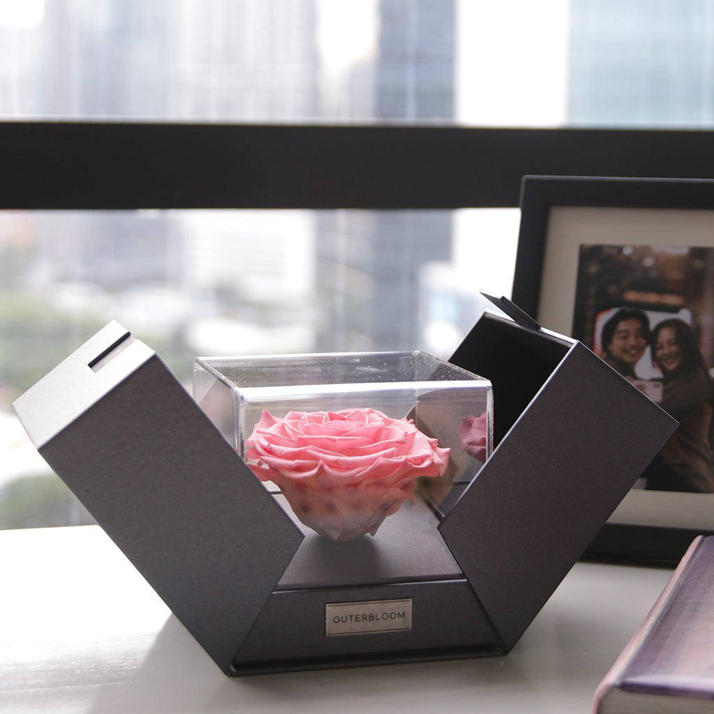 The Novo Astoria - Charming Pink