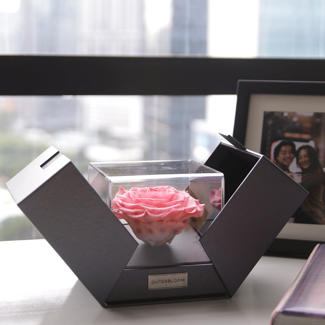 The Novo Astoria - Charming Pink