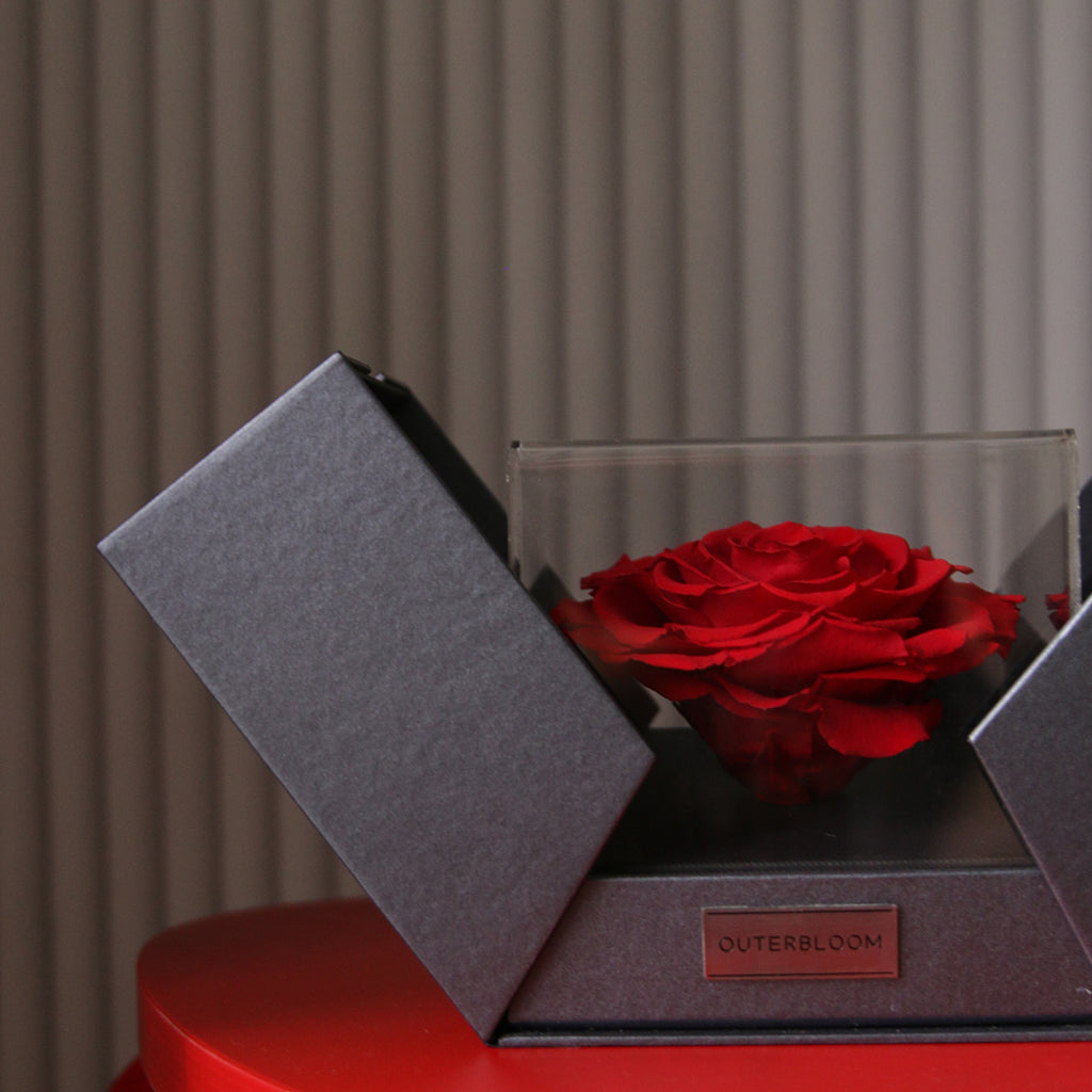 The Novo Astoria - Passionate Red