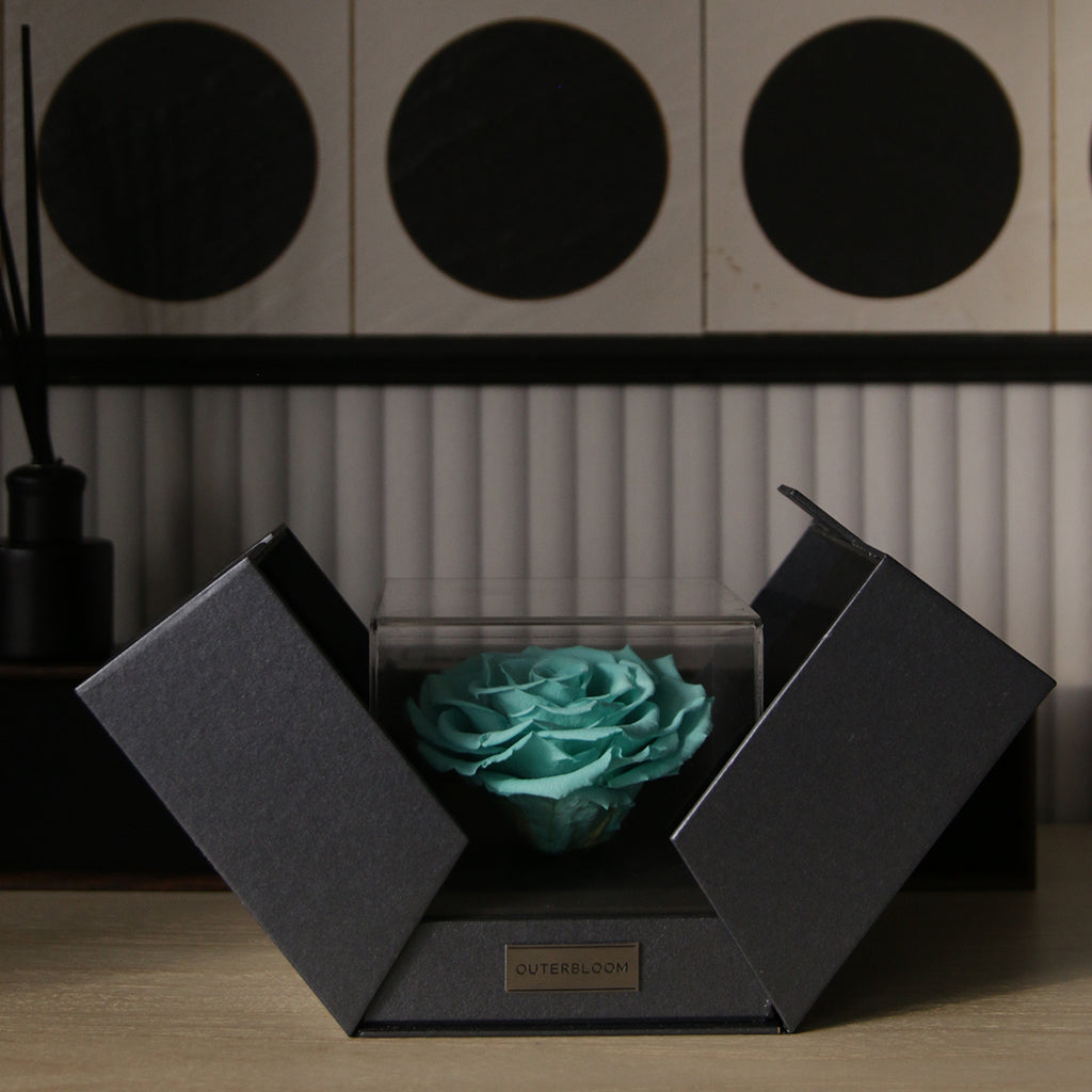 The Novo Astoria - Tiffany Blue