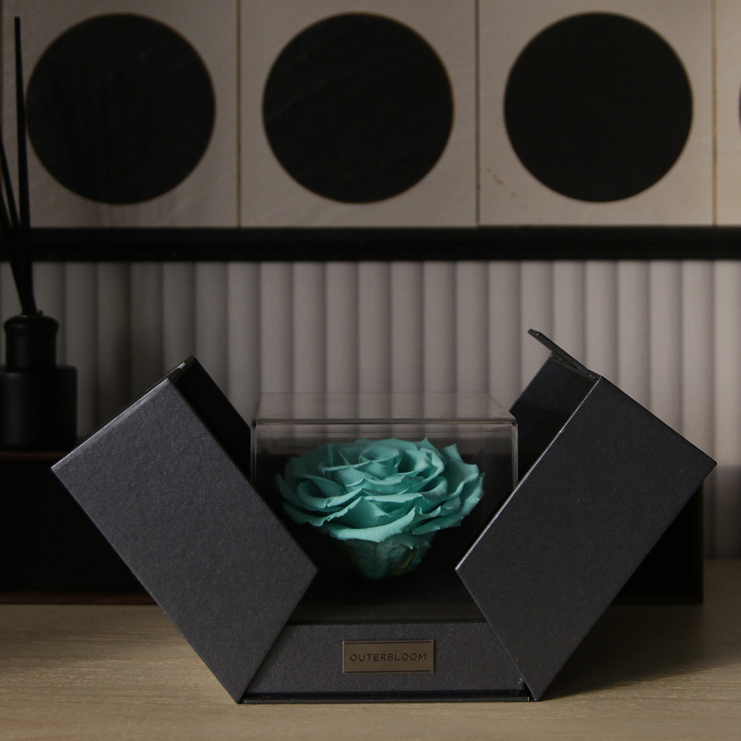 The Novo Astoria - Tiffany Blue