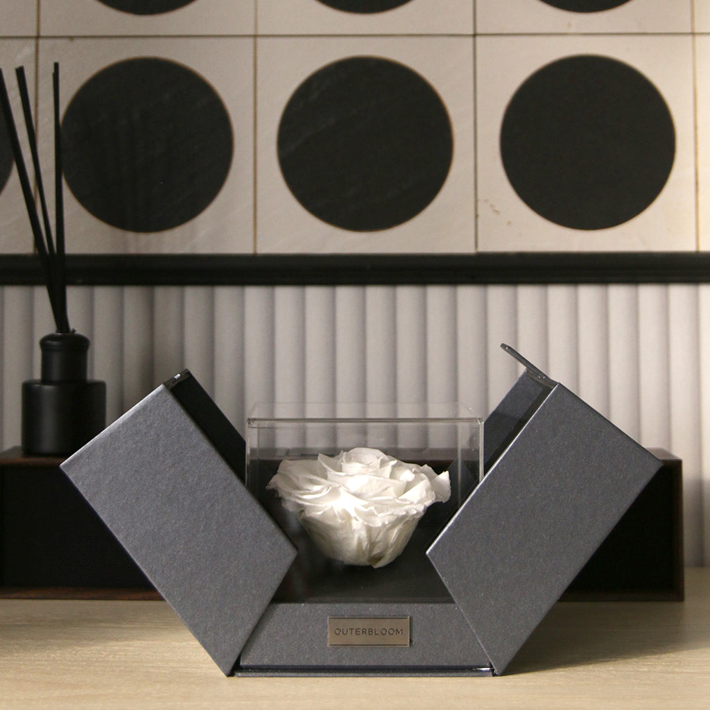 The Novo Astoria - Angelic White