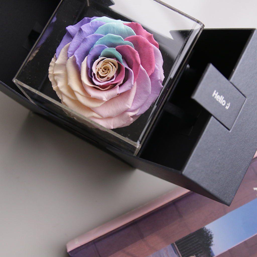 The Novo Astoria - Pastel Rainbow