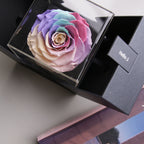 The Novo Astoria - Pastel Rainbow
