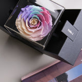 The Novo Astoria - Pastel Rainbow