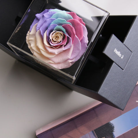 The Novo Astoria - Pastel Rainbow