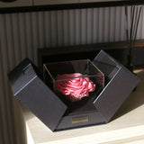 The Novo Astoria - Charming Pink