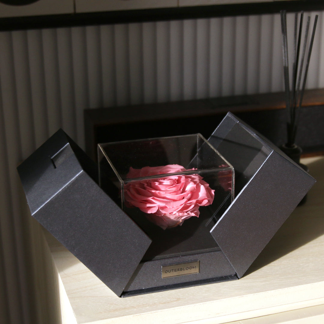 The Novo Astoria - Charming Pink