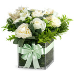 Aeris in Vase