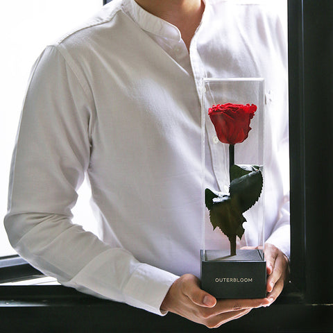 Enchanted Love Pirouette - Magic Rainbow