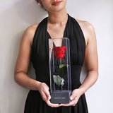 Enchanted Love Pirouette - Innocent Pink