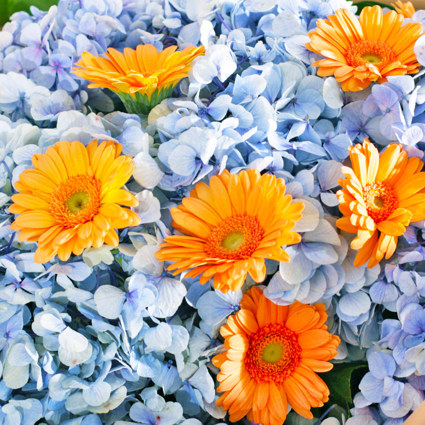 Blue Meadow Bouquet