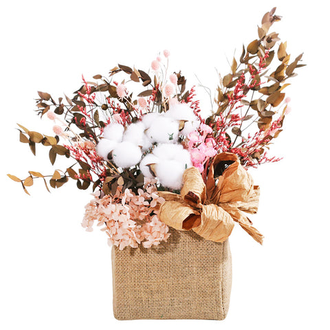 Cotton Dream in Basket