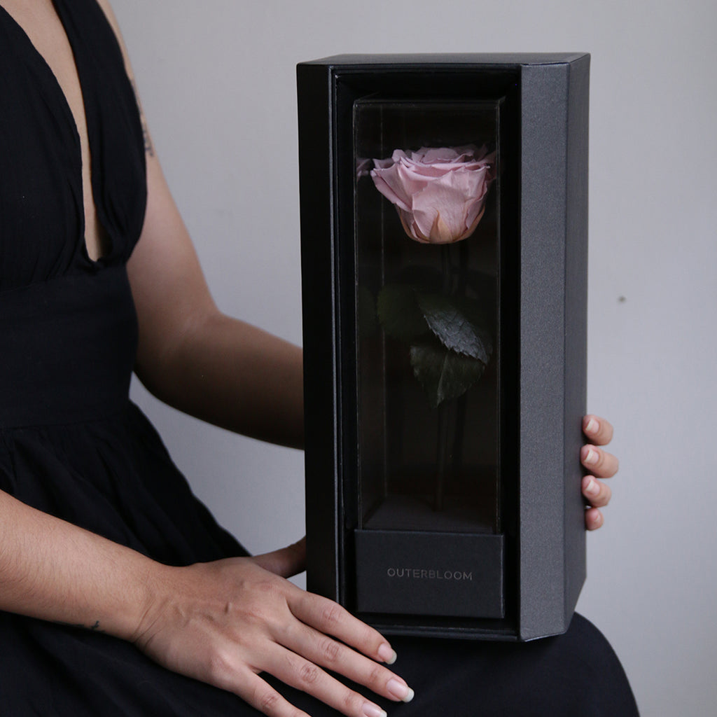 Enchanted Love Pirouette - Innocent Pink