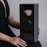 Enchanted Love Pirouette - Innocent Pink