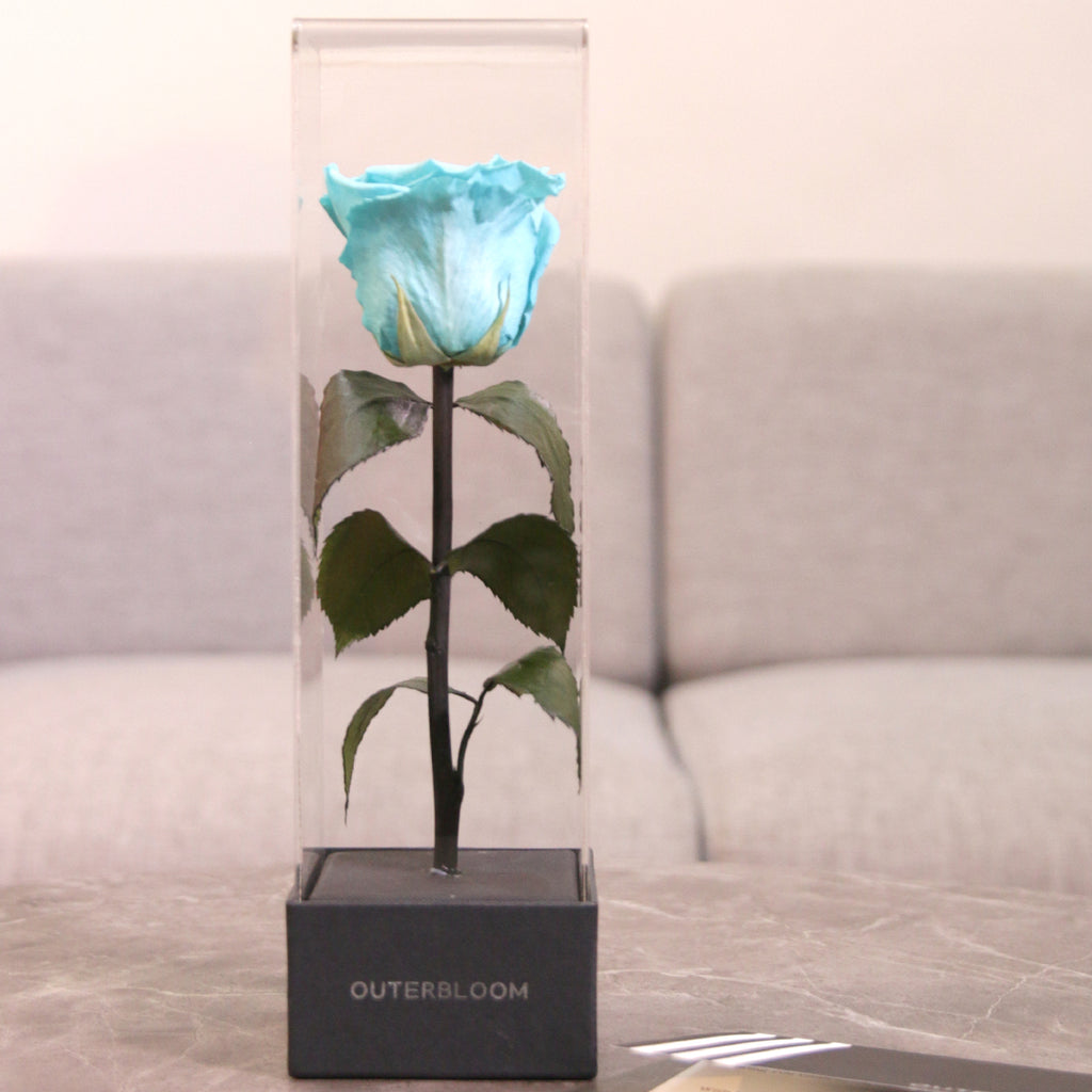 Enchanted Love Pirouette - Tiffany Blue