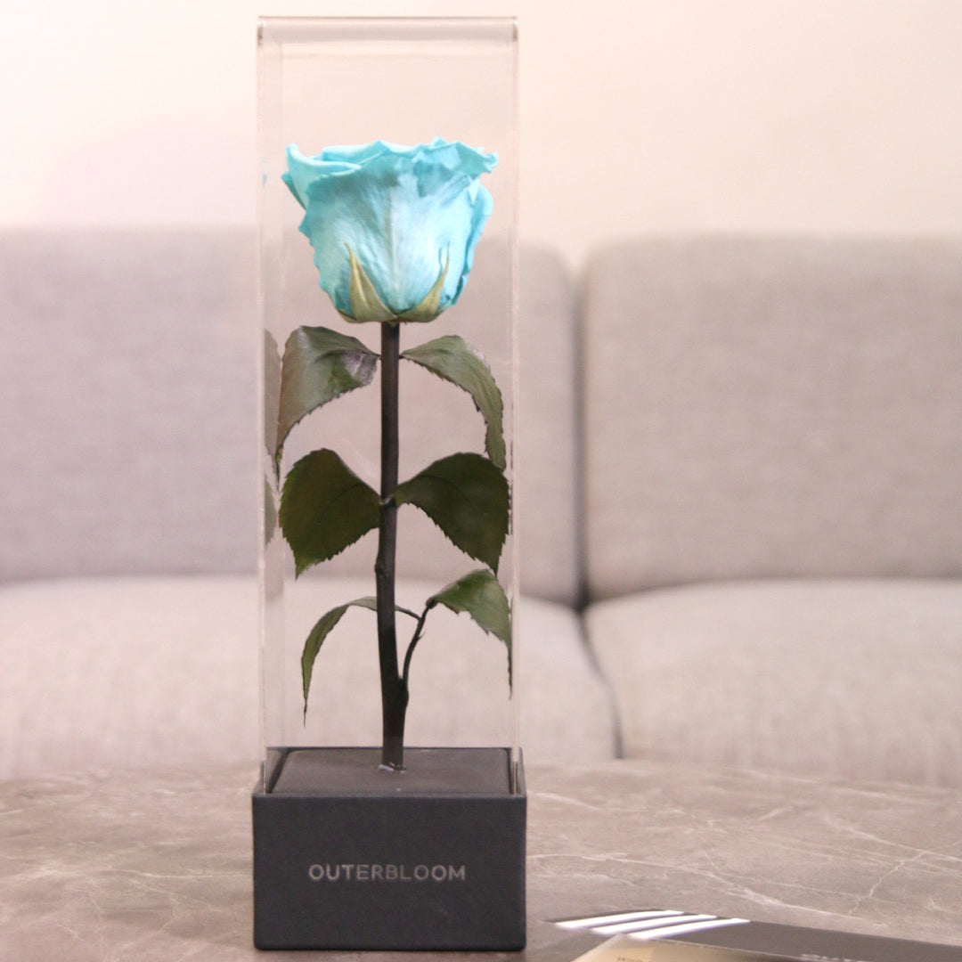 Enchanted Love Pirouette - Tiffany Blue