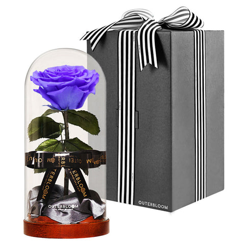 Enchanted Dome - Posh Purple