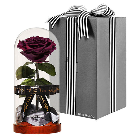 Enchanted Dome - Wine Red