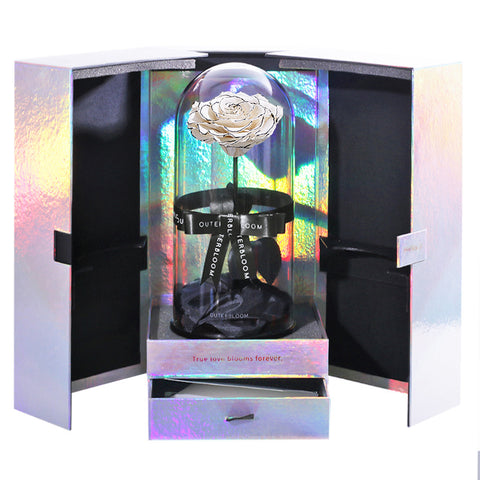 The Novo Enchanted Dome Special Edition - Velvet Monochrome