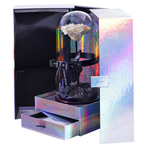 The Novo Enchanted Dome Special Edition - Velvet Monochrome