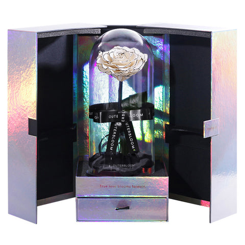 Enchanted Velvet Heart Sparkle