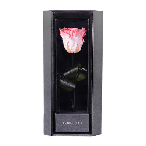 Enchanted Love Pirouette - Charming Pink