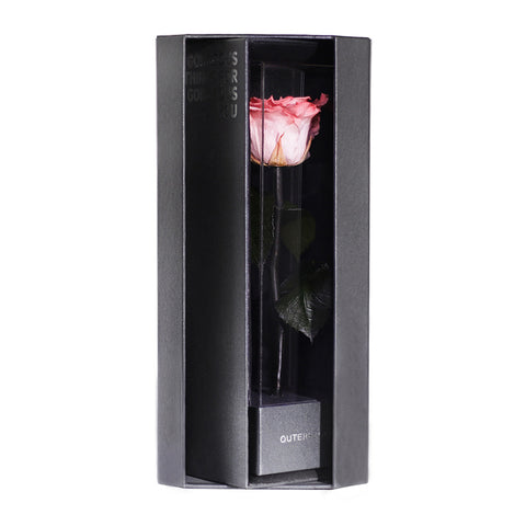 Enchanted Love Pirouette - Charming Pink