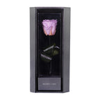 Enchanted Love Pirouette - Majestic Lilac