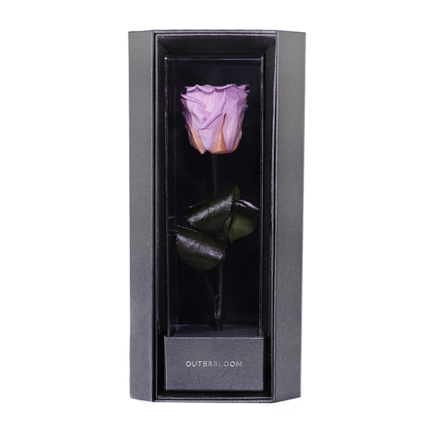 Enchanted Love Pirouette - Majestic Lilac