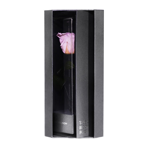 Enchanted Love Pirouette - Majestic Lilac